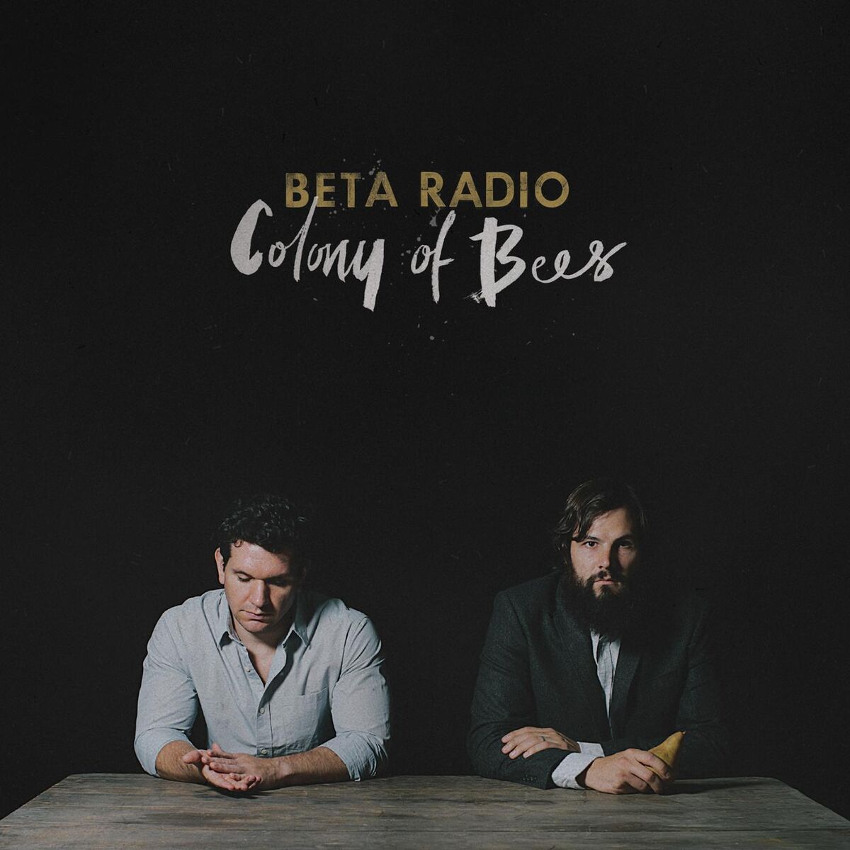 Album cover of Colony of Bees