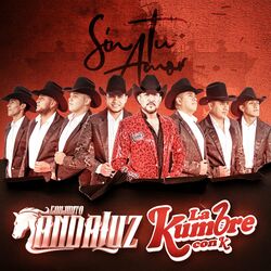 Cover of Sin Tu Amor