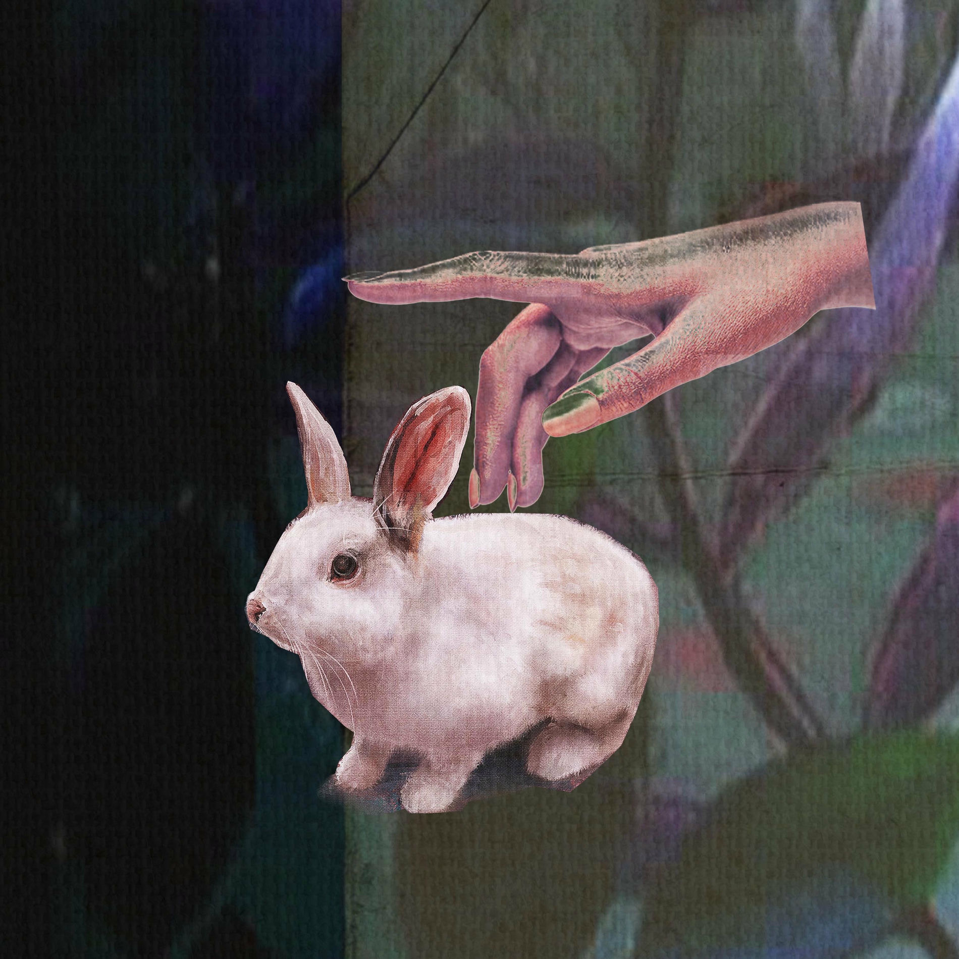 Album cover of Alice