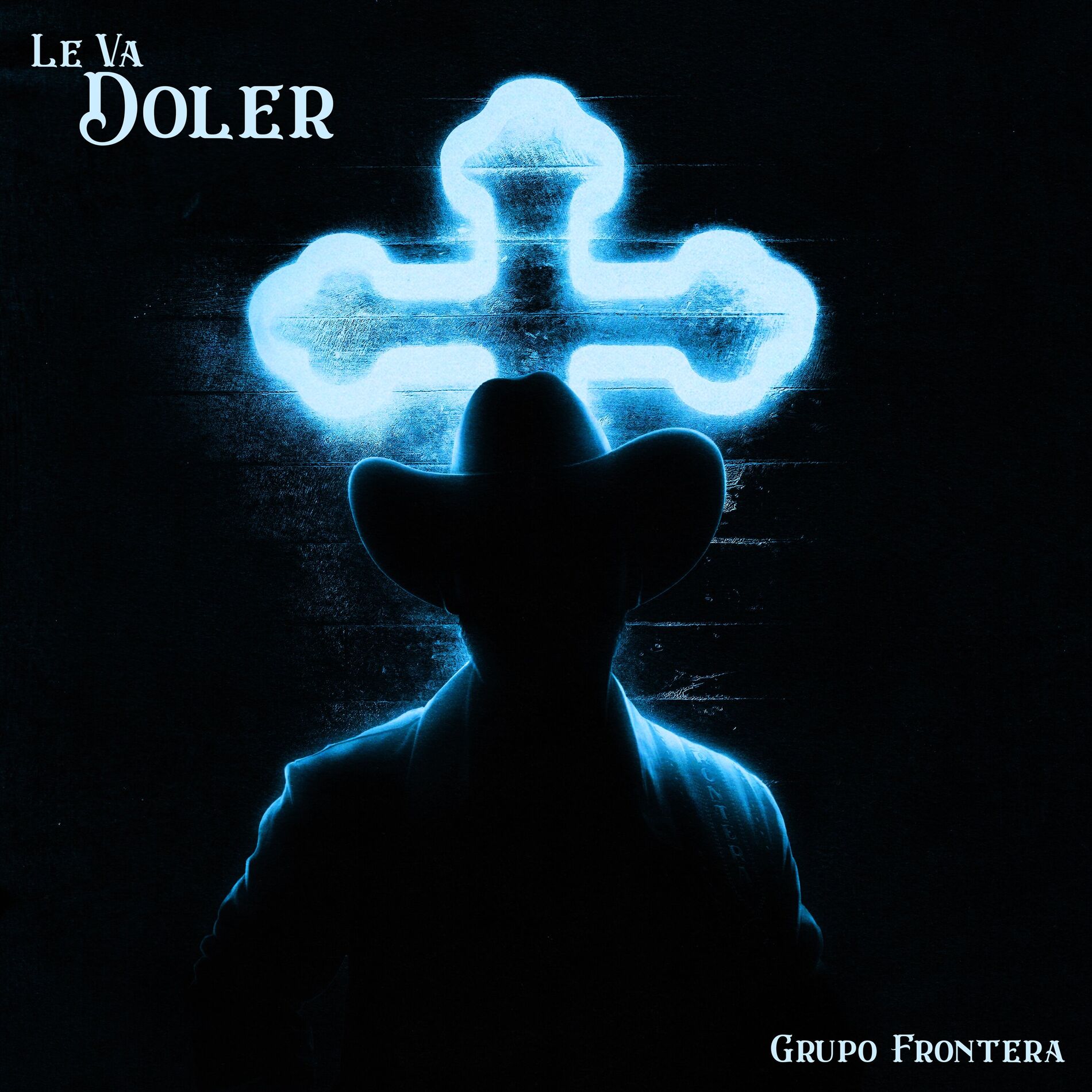 Album cover of LE VA DOLER