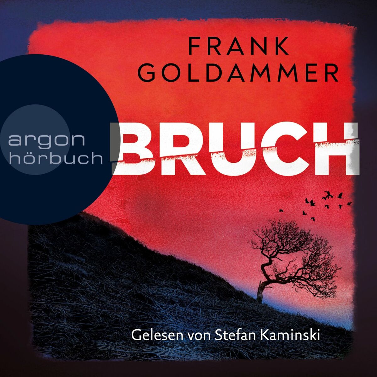 Album cover of Bruch - Ein dunkler Ort - Felix Bruch, Band 1 (Autorisierte Lesefassung)