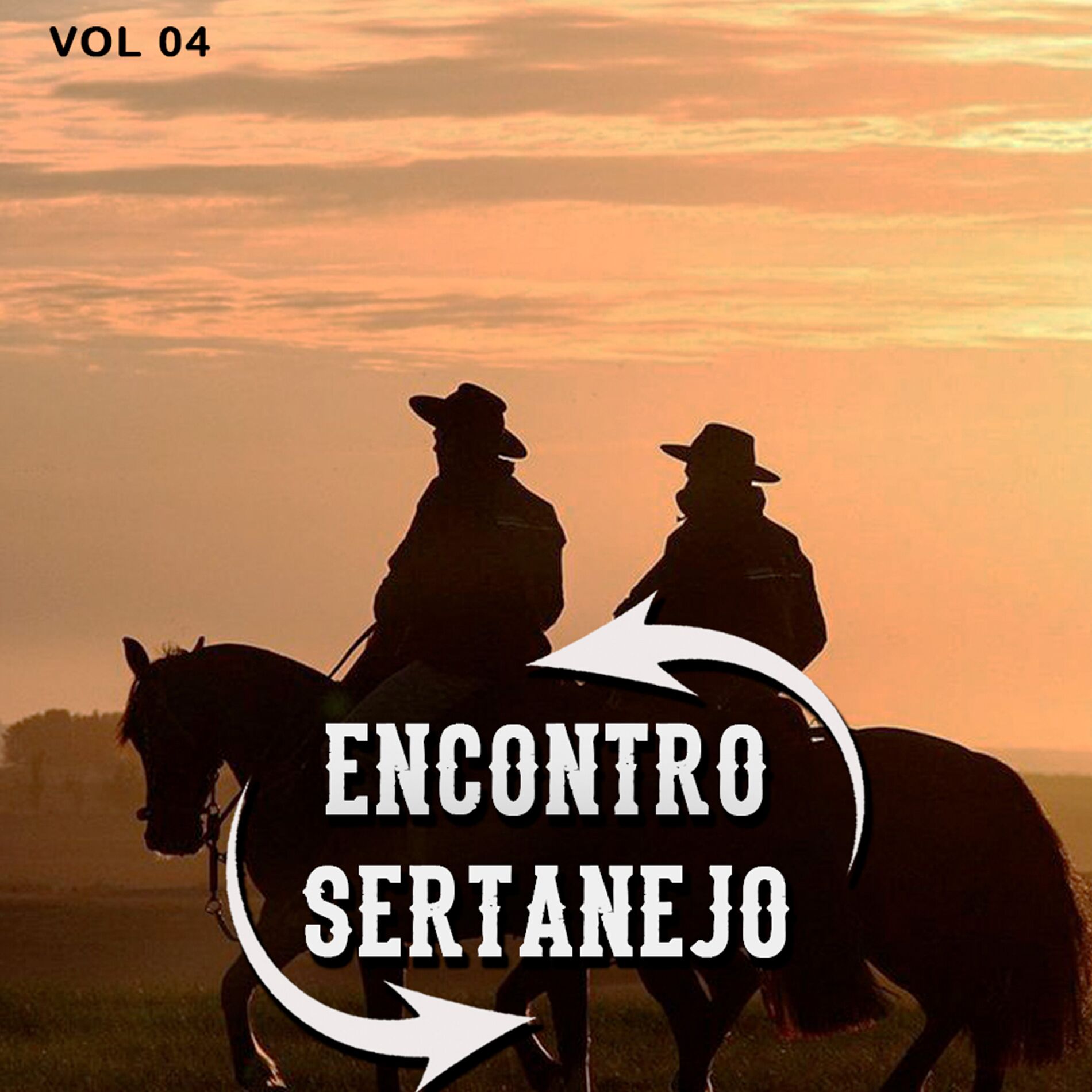 Album cover of Encontro Sertanejo, Vol. 04