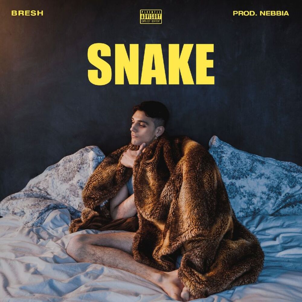 Picture of Snake