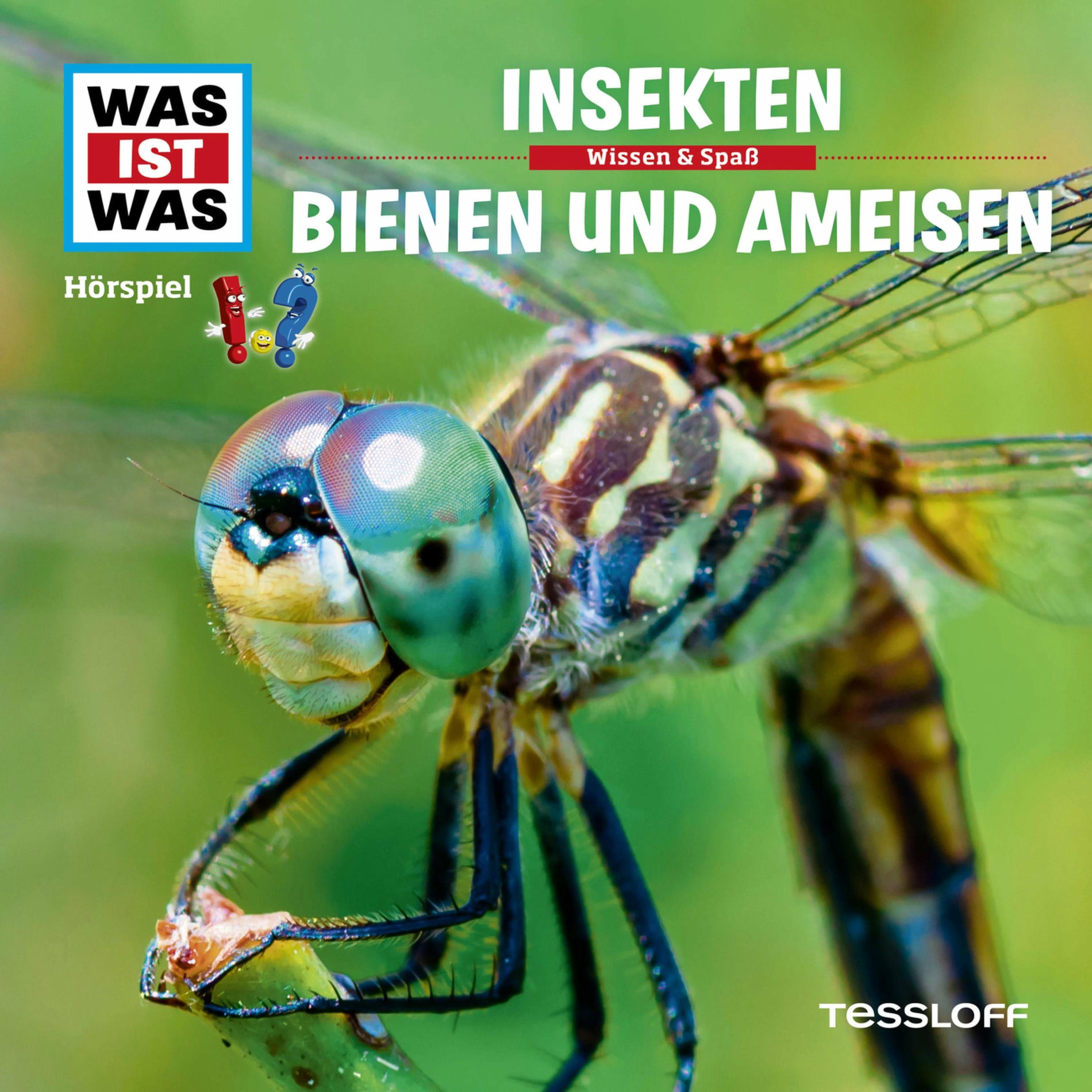Album cover of Insekten - Teil 01