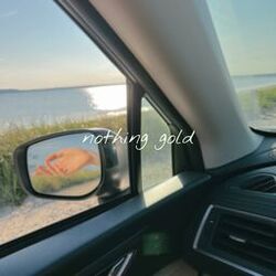 Cover of nothing gold