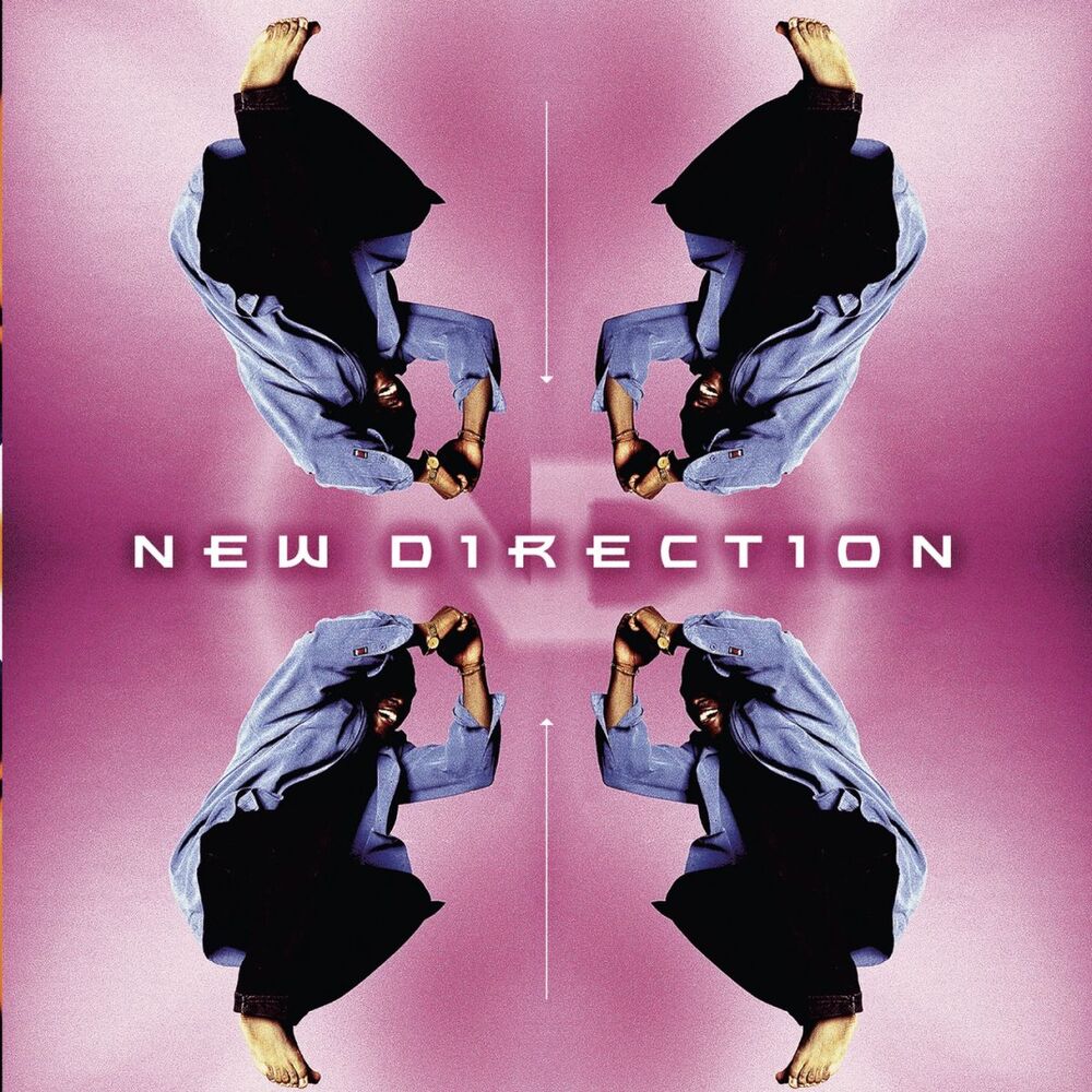 Picture of New Direction