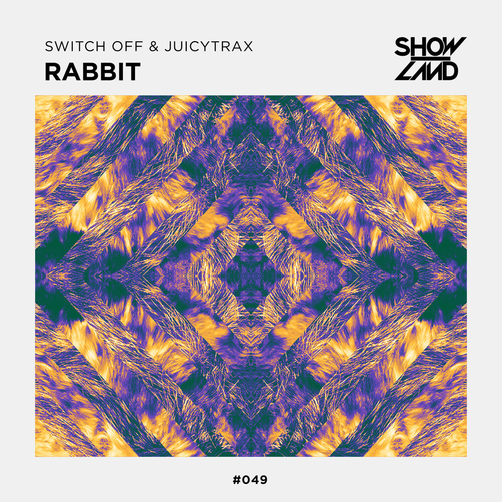 Picture of Rabbit