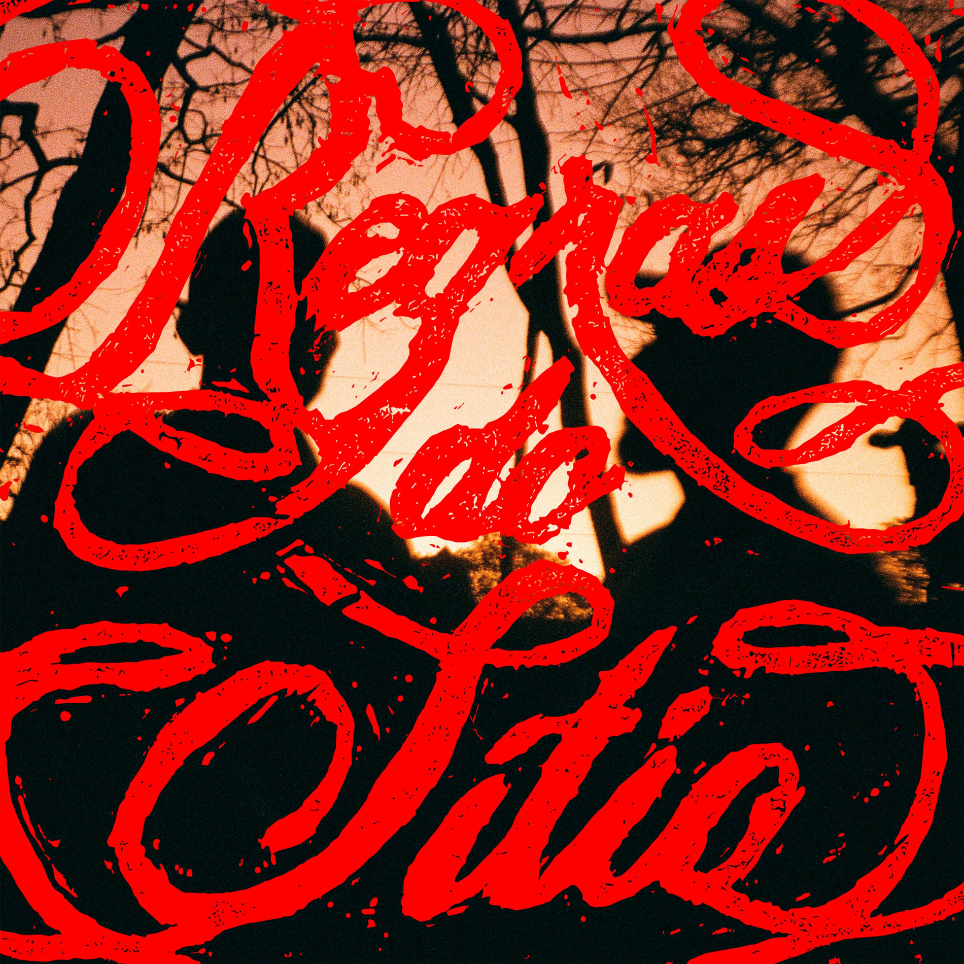 Album cover of Regras do Sítio