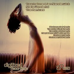 Cover of She's Wonderful The Remixes