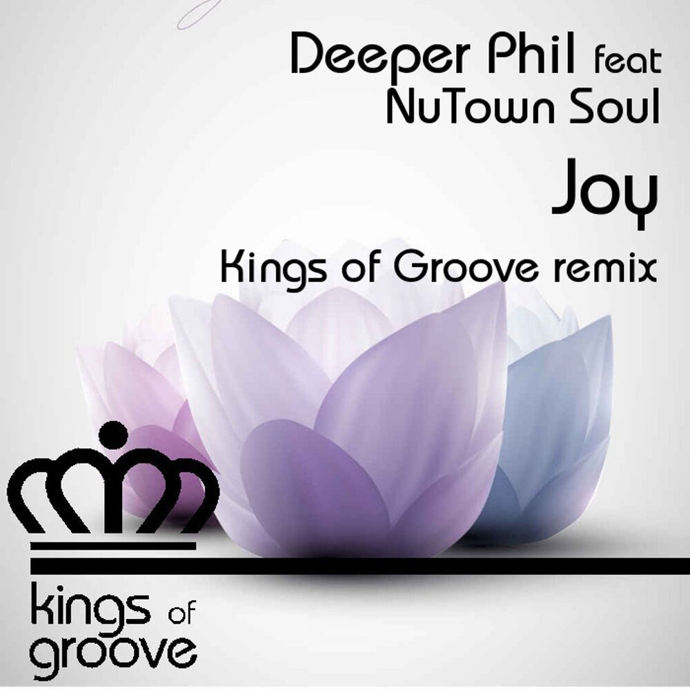 Picture of Joy (Kings of Groove Remix)