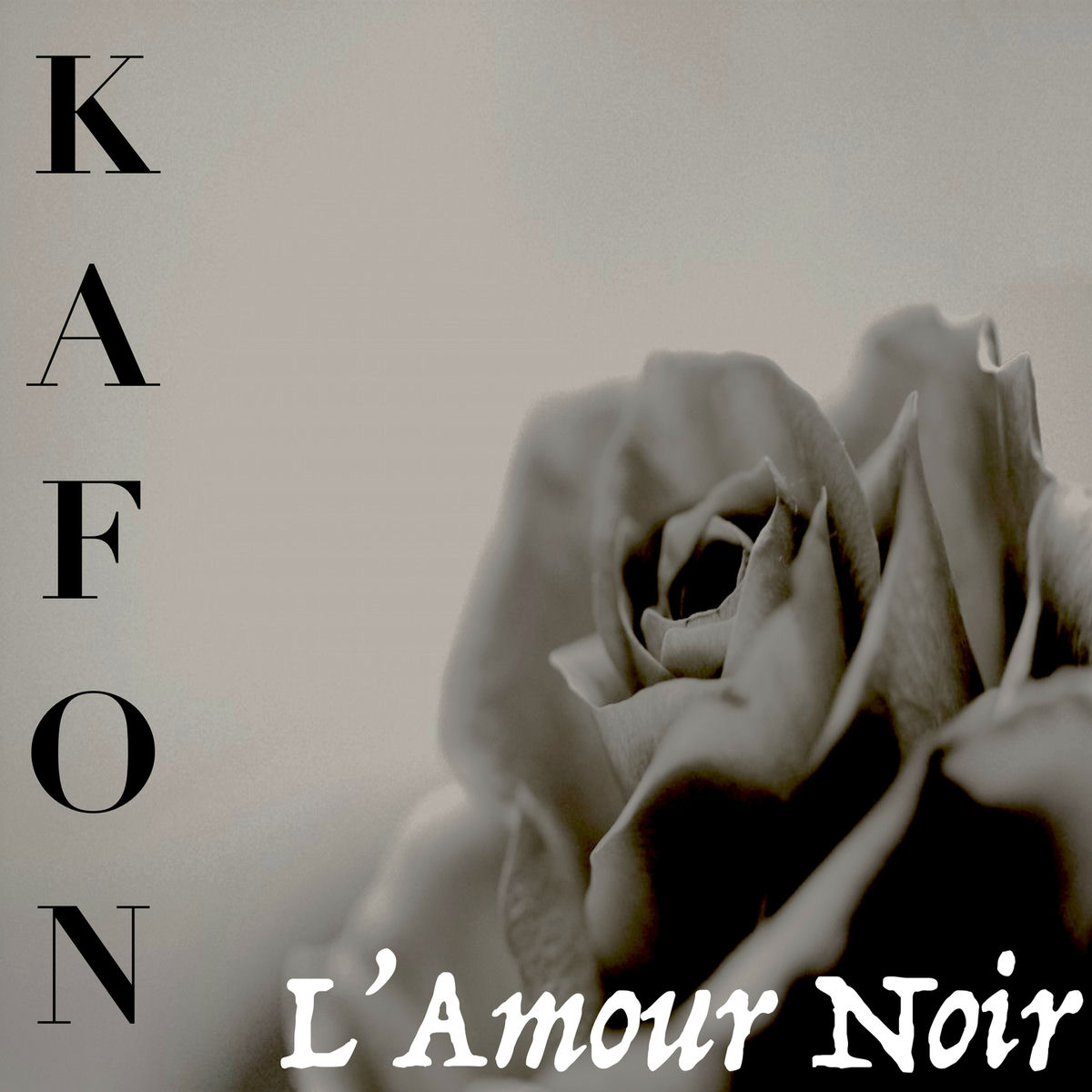 Album cover of L'amour noir