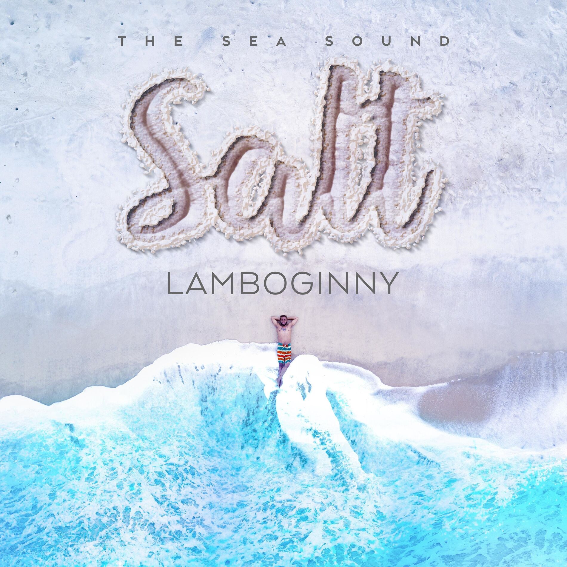 Album cover of Salt