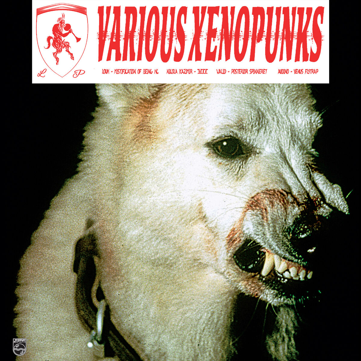 Album cover of Various Xenopunks EP