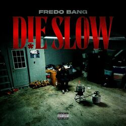 Cover of d!e slow