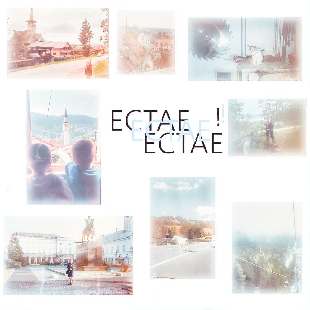 Picture of ECTAE