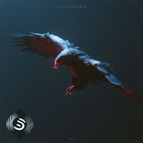 Nighthawk