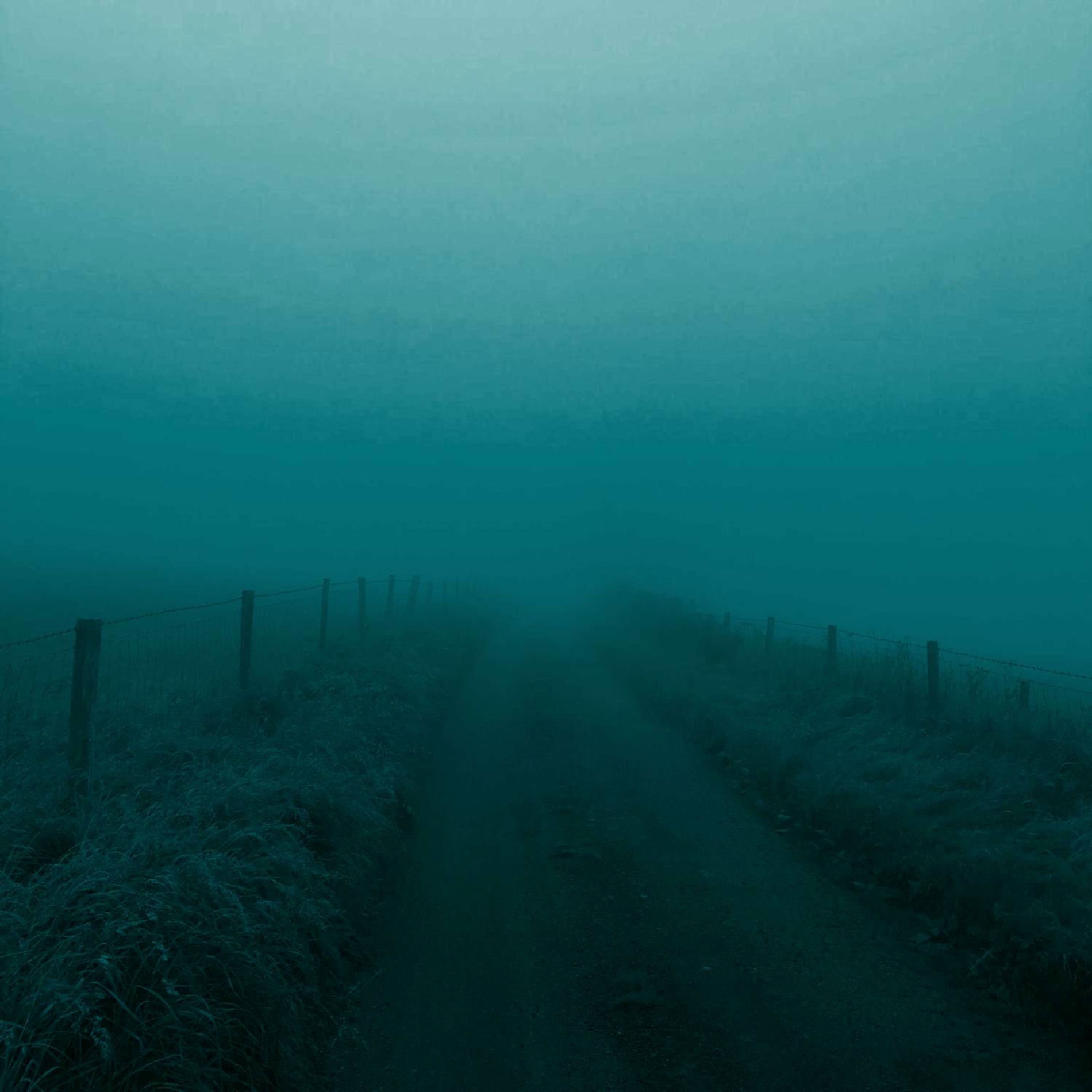 Album cover of raindrop