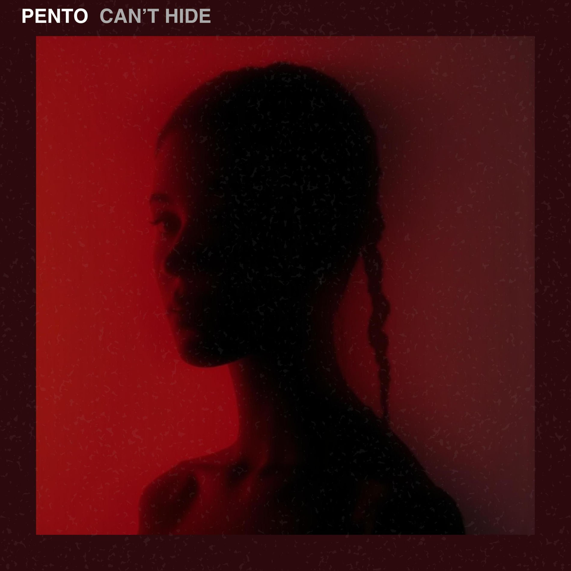 Album cover of Can't Hide
