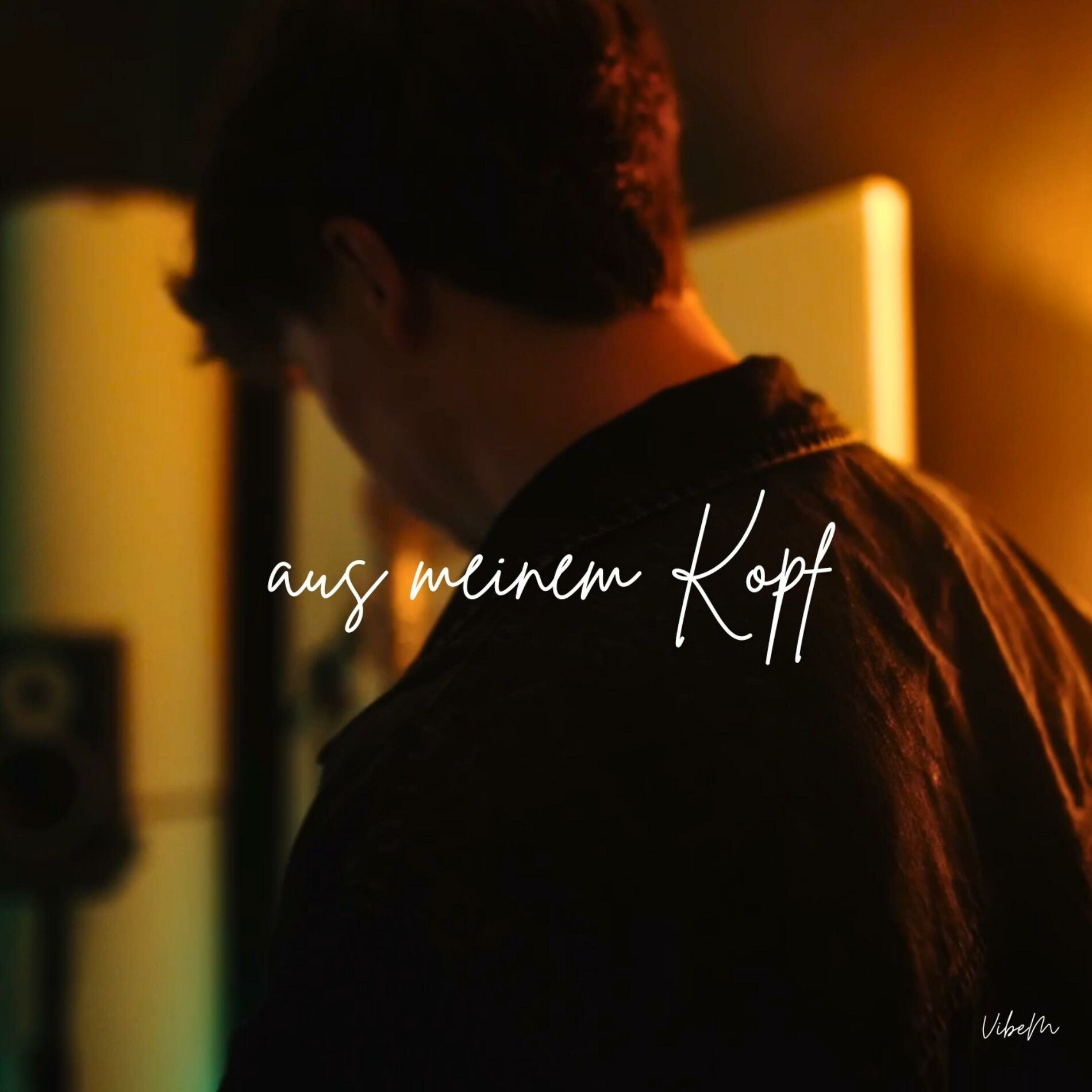 Album cover of aus meinem Kopf