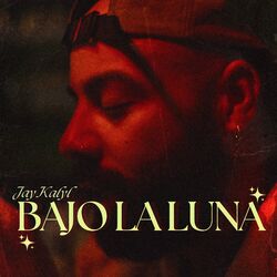 Cover of Bajo la Luna