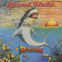 Cover of Rising