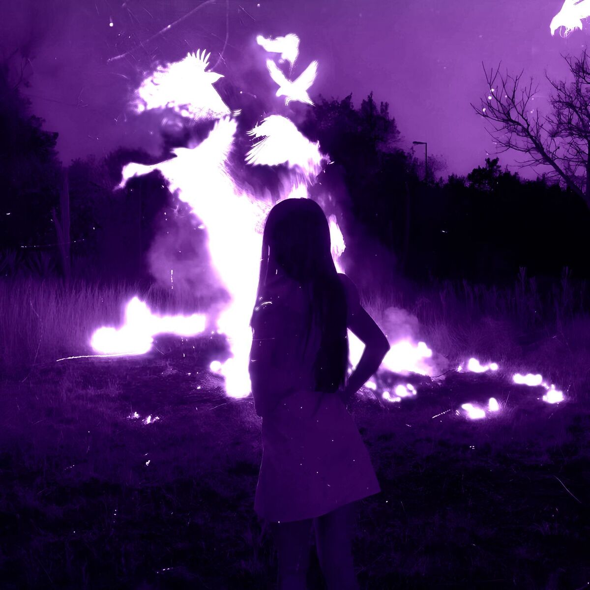 Album cover of Everlong