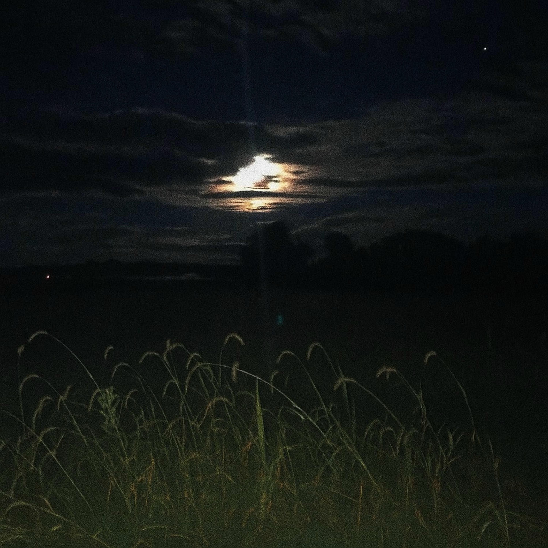 Album cover of one life