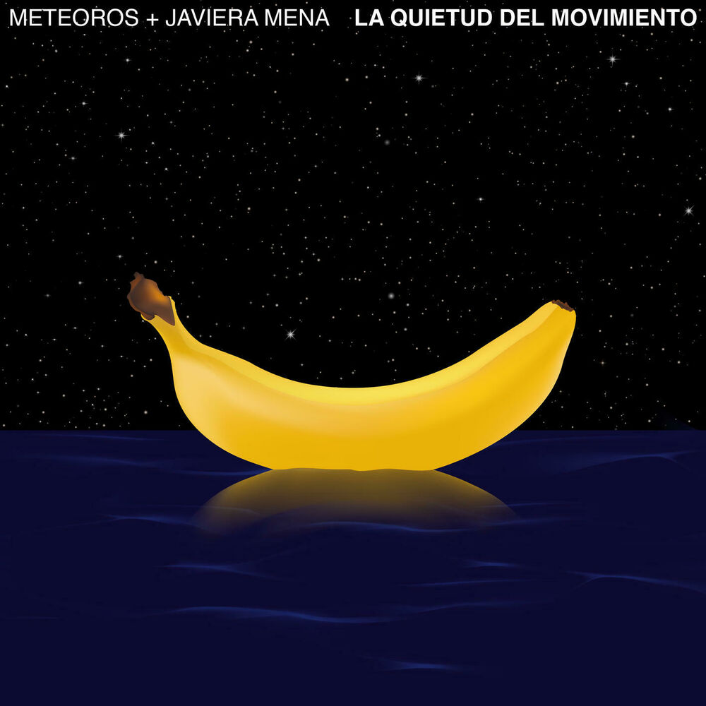 Picture of La Quietud del Movimiento
