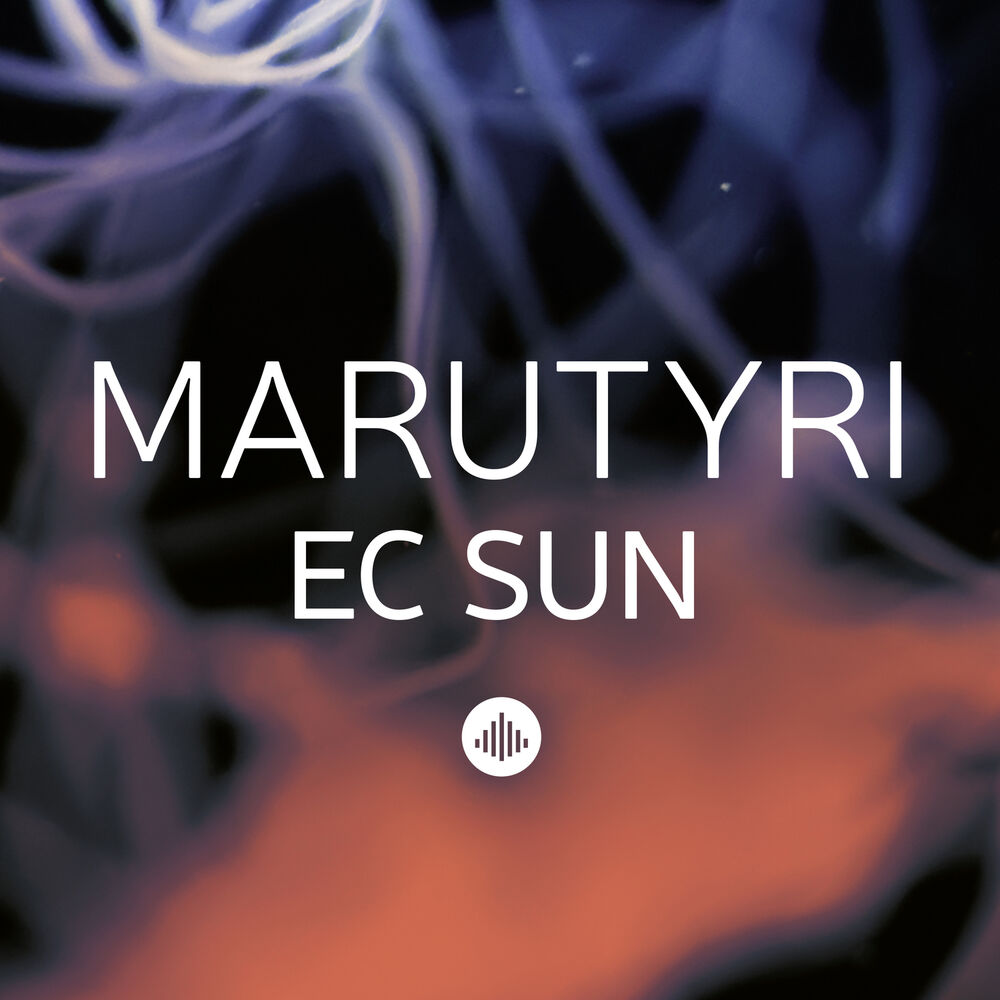 Picture of EC Sun