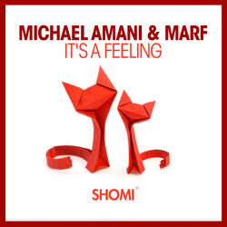 Cover of It's A Feeling