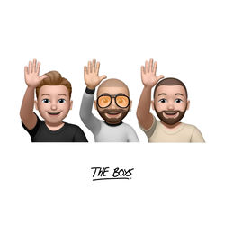 Cover of THE BOYS by undefined