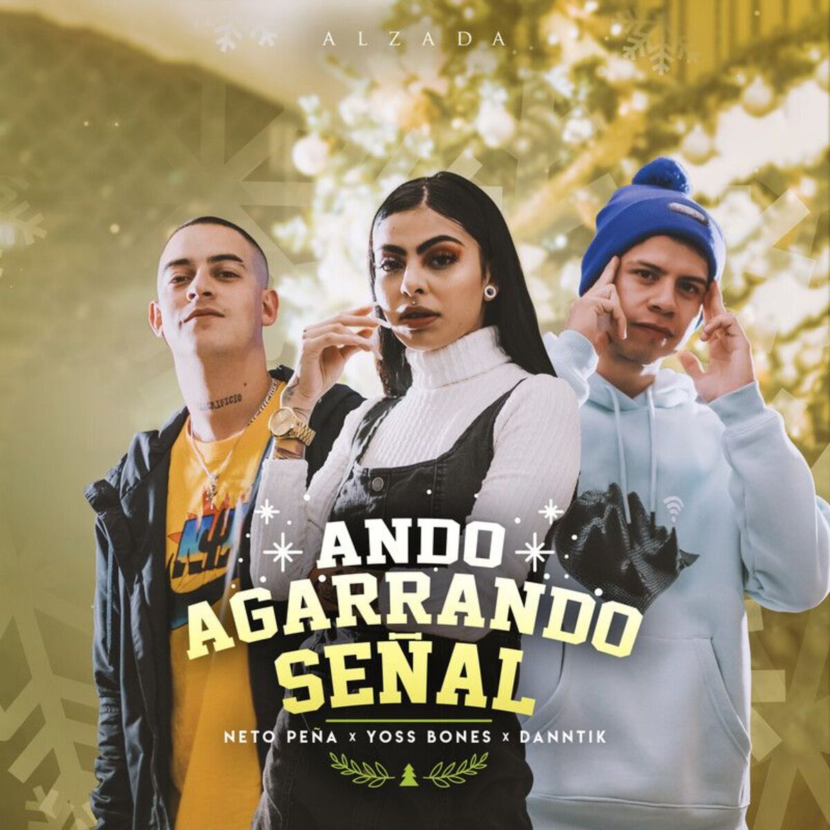Album cover of Ando Agarrando Señal