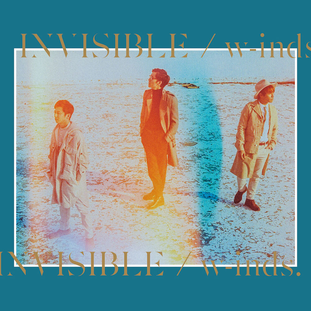 Picture of Invisible (Standard Edition)