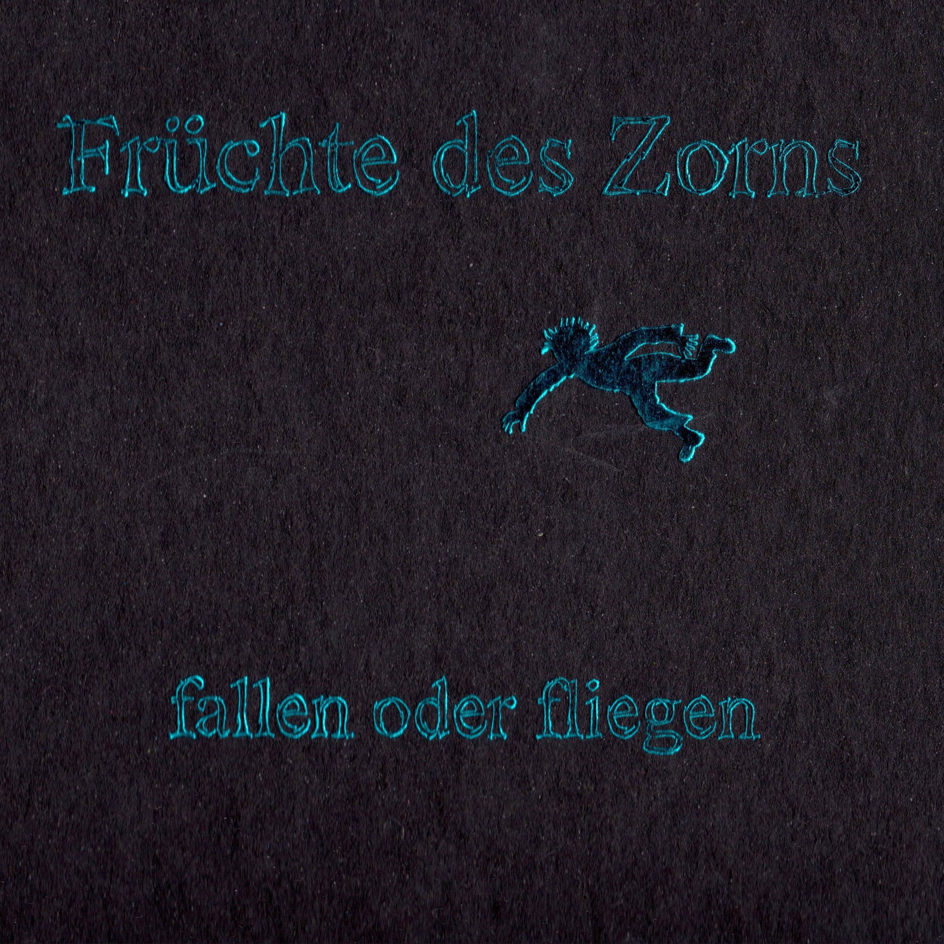 Album cover of Fallen Oder Fliegen