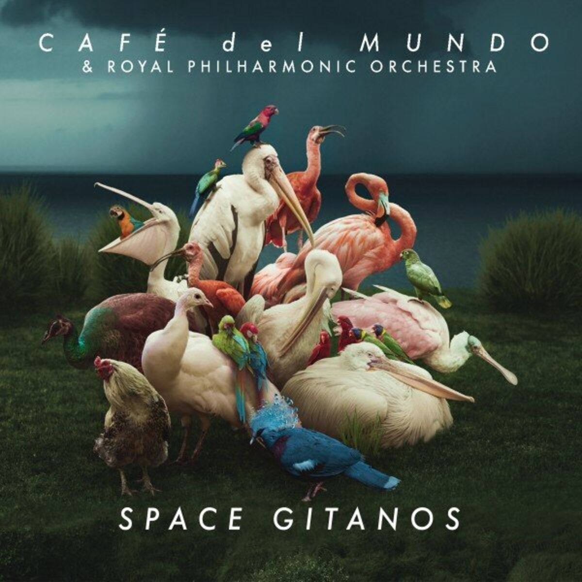 Album cover of Space Gitanos