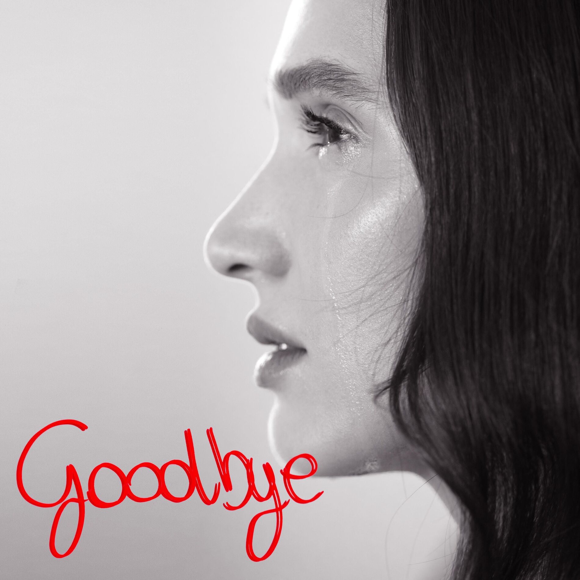 Album cover of Goodbye