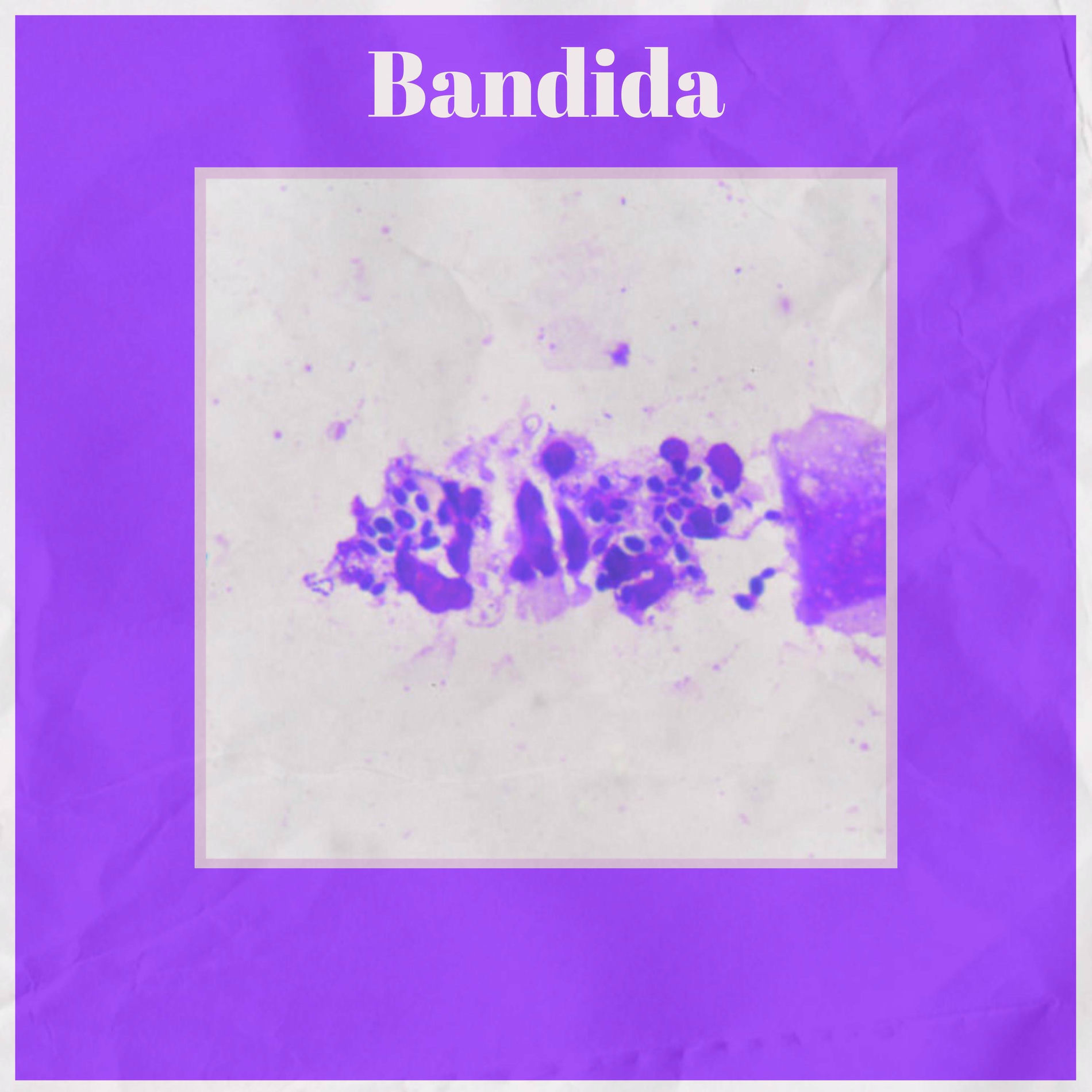 Album cover of Bandida