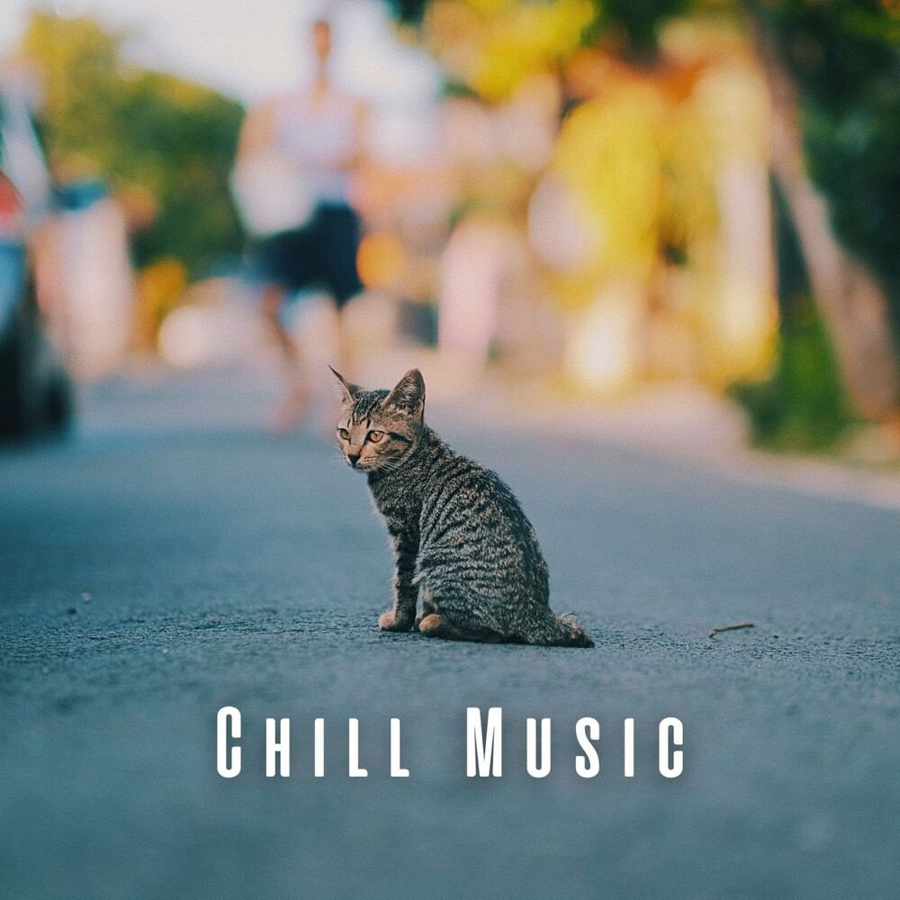 Picture of Chill Music: The Cats' Comfort Zone