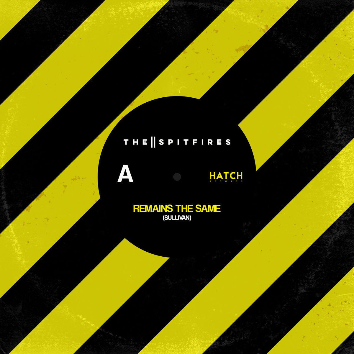 Album cover of Remains The Same
