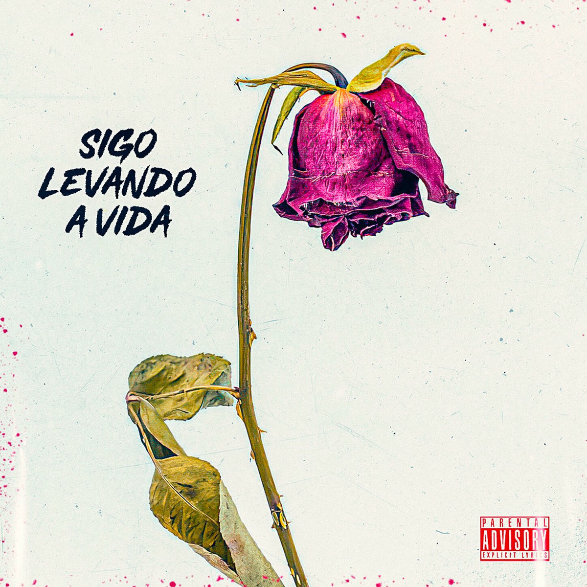 Album cover of Sigo Levando a Vida