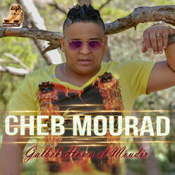 Cover of Galbek Howa El Moudir