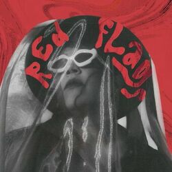 Cover of Red Flags