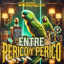 Cover of Entre Perico Y Perico