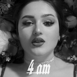 Cover of 4 am