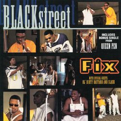 Cover of Fix