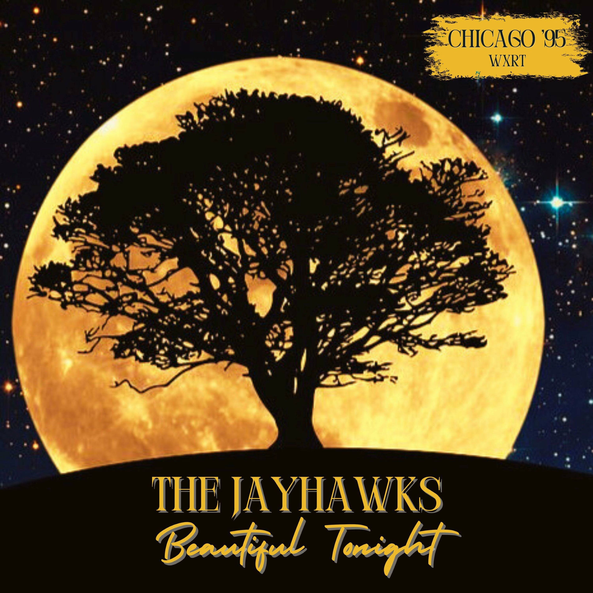 Album cover of Beautiful Tonight (Live Chicago '95)