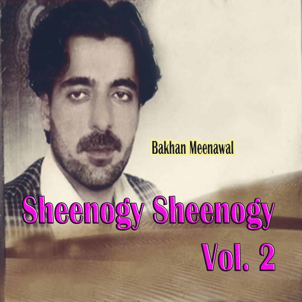 Picture of Sheenogy Sheenogy, Vol. 2