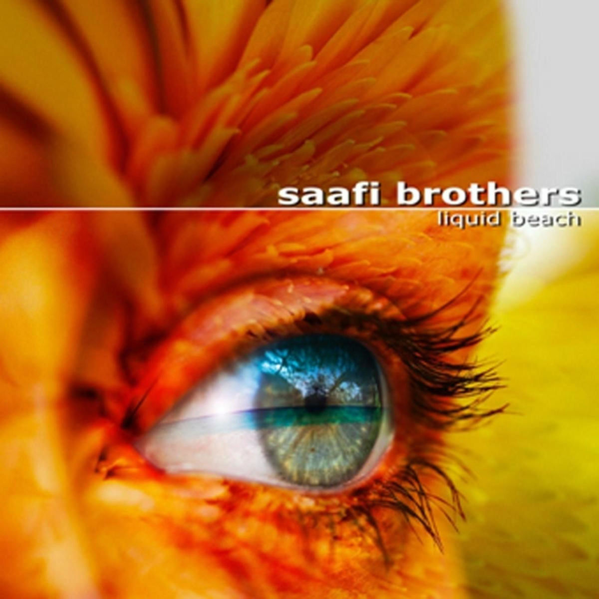 Saafi Brothers: albums, songs, concerts | Deezer