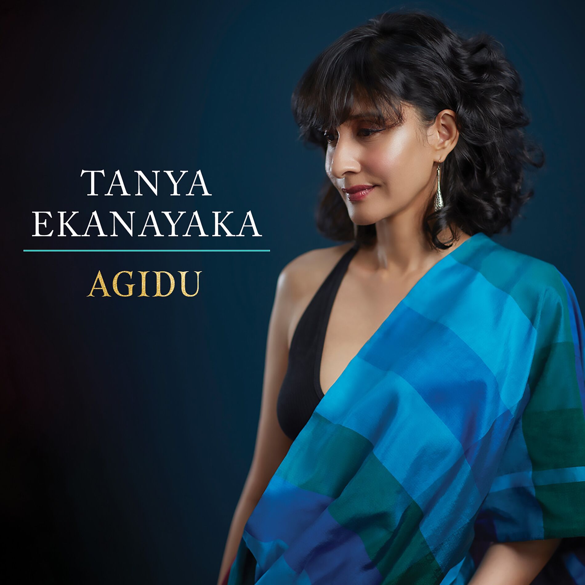 Album cover of Agidu