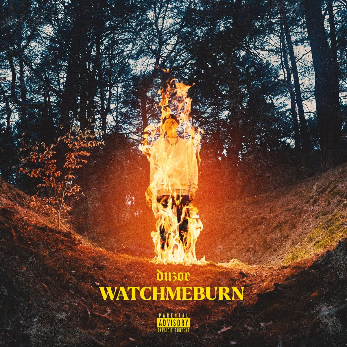 Album cover of watchmeburn